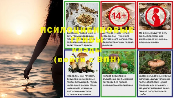 каннабис Магадан