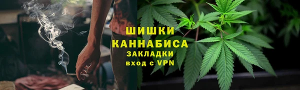 ПСИЛОЦИБИНОВЫЕ ГРИБЫ Медвежьегорск