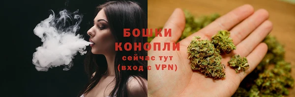 PSILOCYBIN Медногорск
