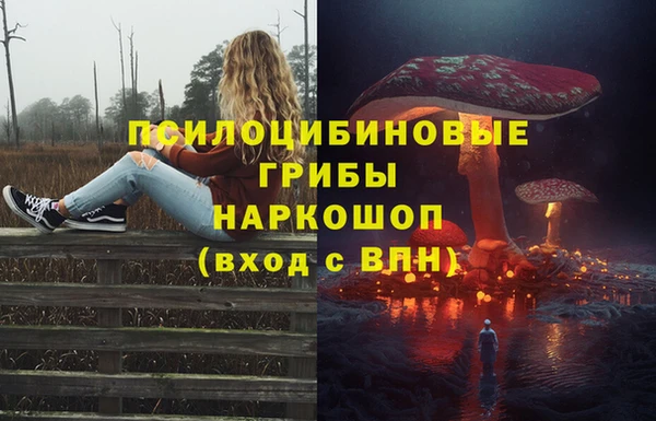 ПСИЛОЦИБИНОВЫЕ ГРИБЫ Медвежьегорск