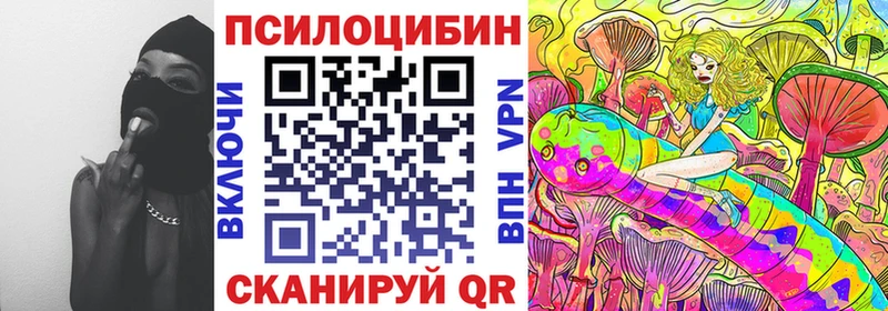 продажа наркотиков  Шелехов  Псилоцибиновые грибы ЛСД 